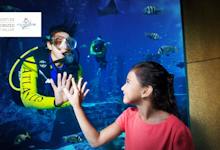 Lost Chambers Aquarium in Dubai