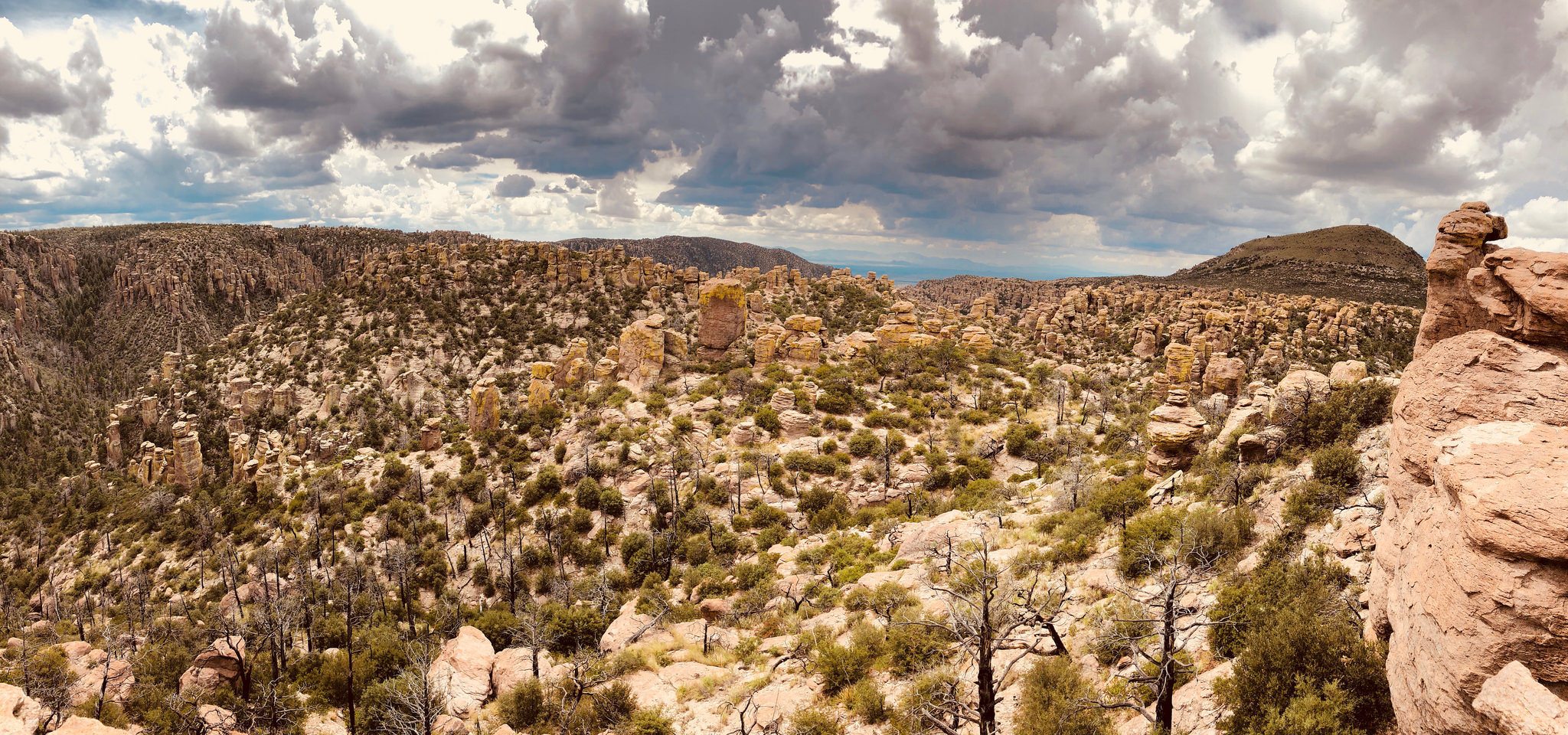 Nationaldenkmal Chirikaua: Beste Wanderungen in Arizona