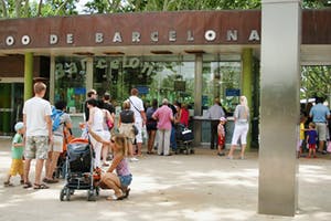 1 Tag in Barcelona - Zoo Barcelona
