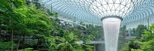 Komplette Leitfaden zum Canopy Park am Changi Airport