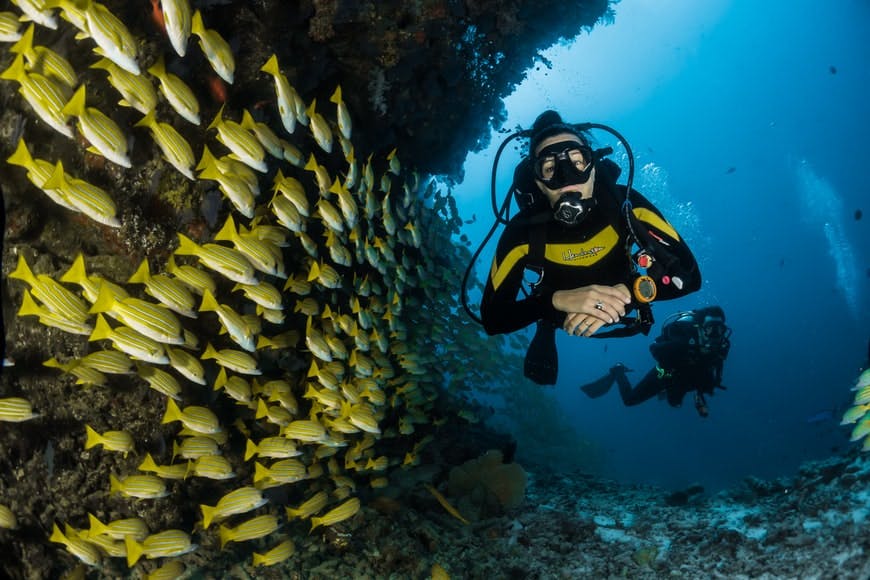 Lost Chambers Aquarium in Dubai der Attraktion