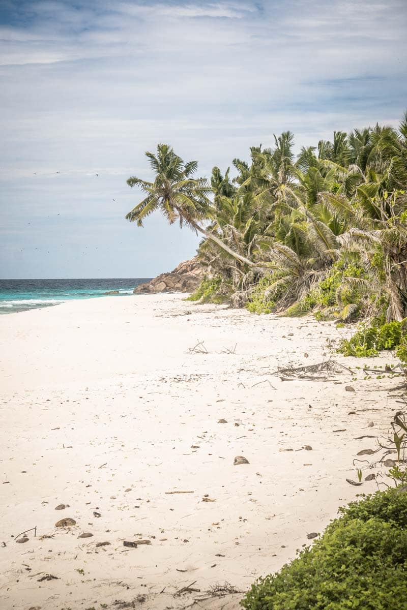 Trockene Seychellen