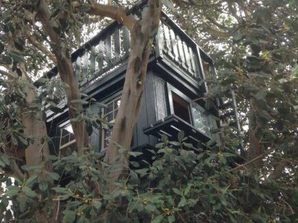 Gemütliches Haus auf einem Baum mit Kamin, Kalifornien