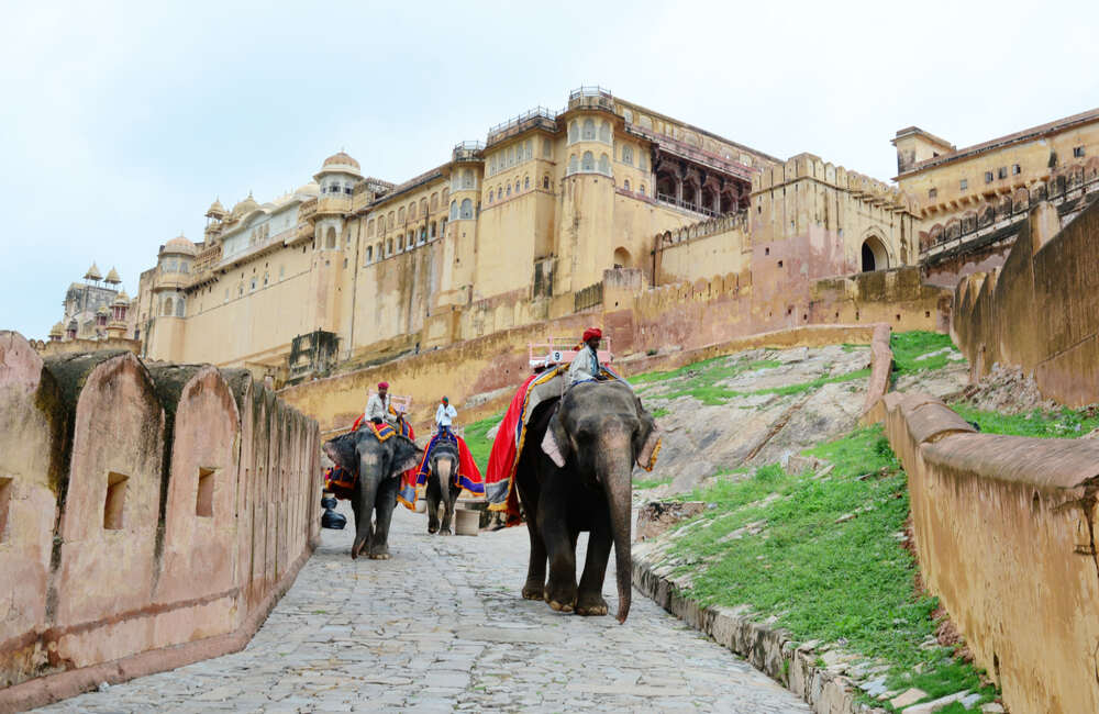 Volksfest |Nr. 18 der 25 besten Aktivitäten in Jaipur