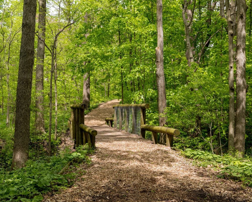 Forest Park Springfield, Massachusetts