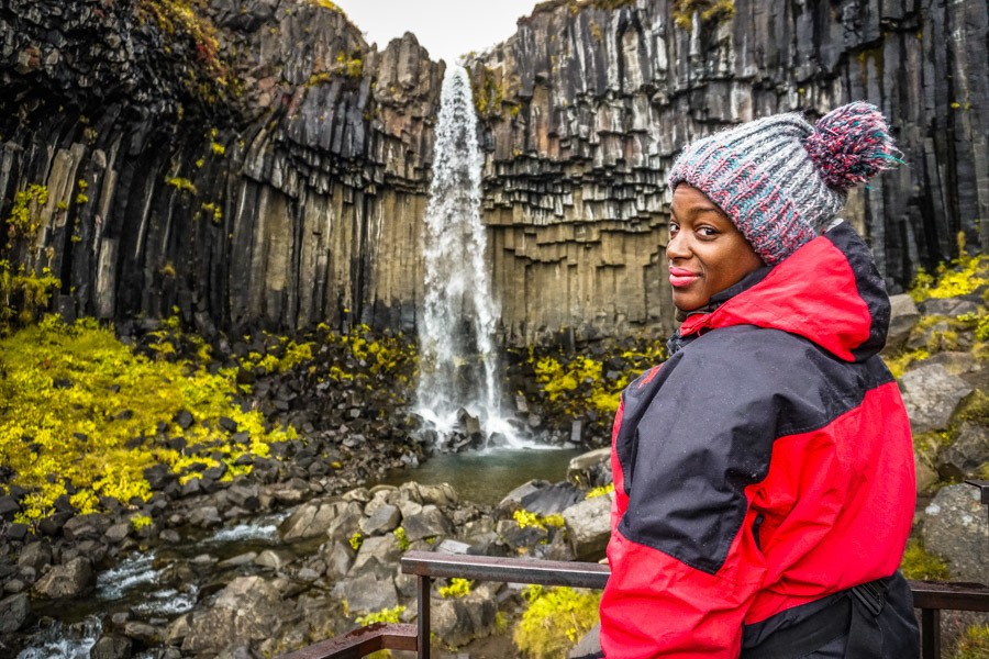 Swartifoss. 18 isländische Wasserfälle, die gesehen werden müssen, um zu glauben. Orte für Fotografie, schöne Landschaften - Don