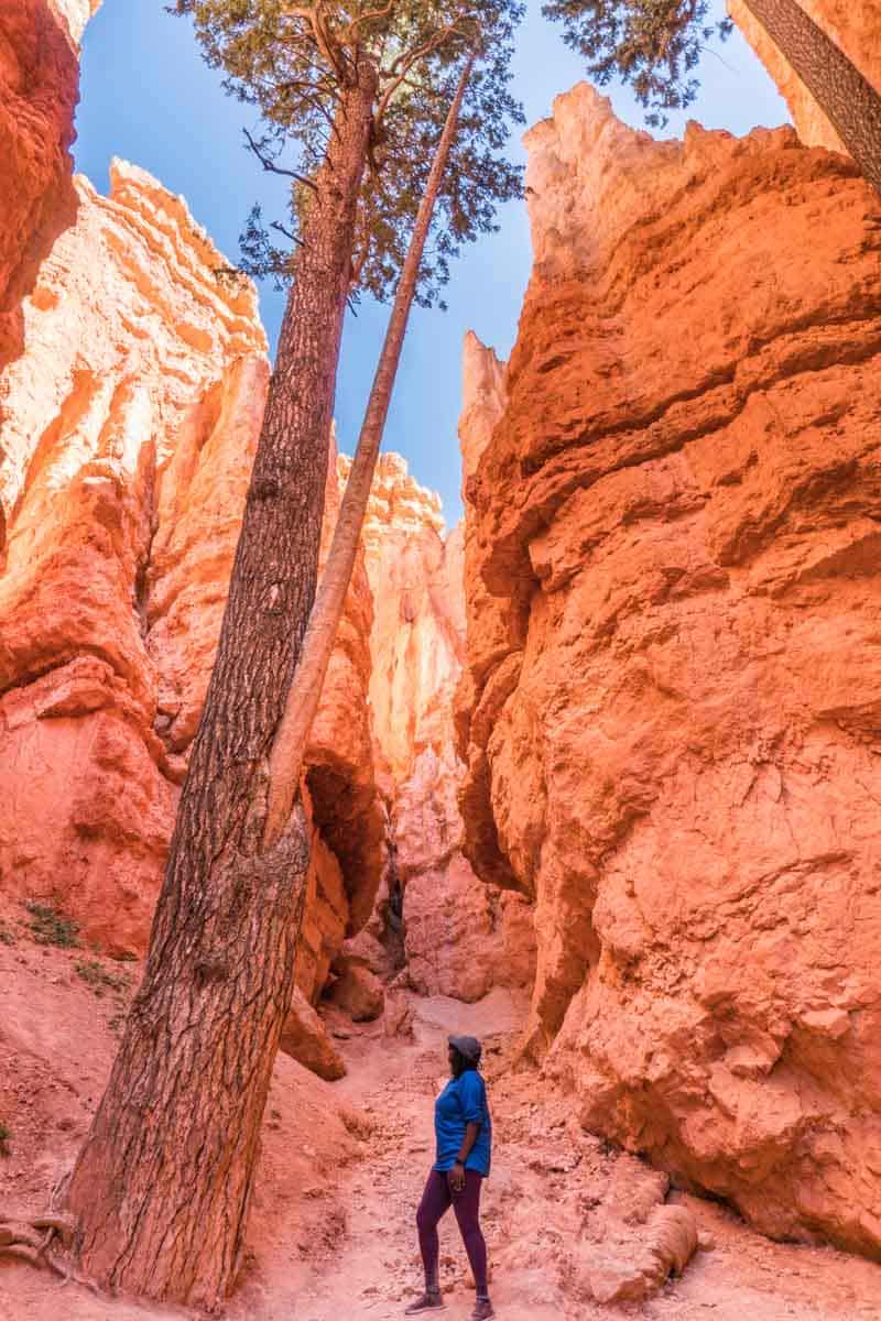 Juliana Barnaby in der Kampagne Navajo Trail Wanderung Brycespeaking Tropicfeel Canyon Schuh