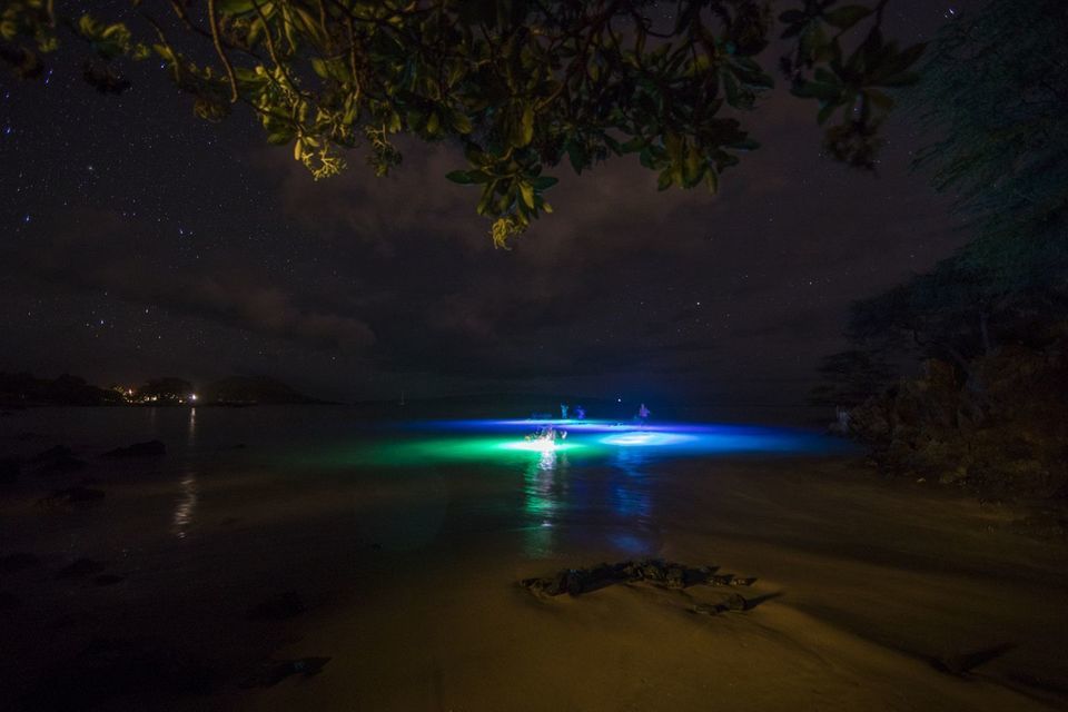 Lumining Stehpaddlboarding auf Maui