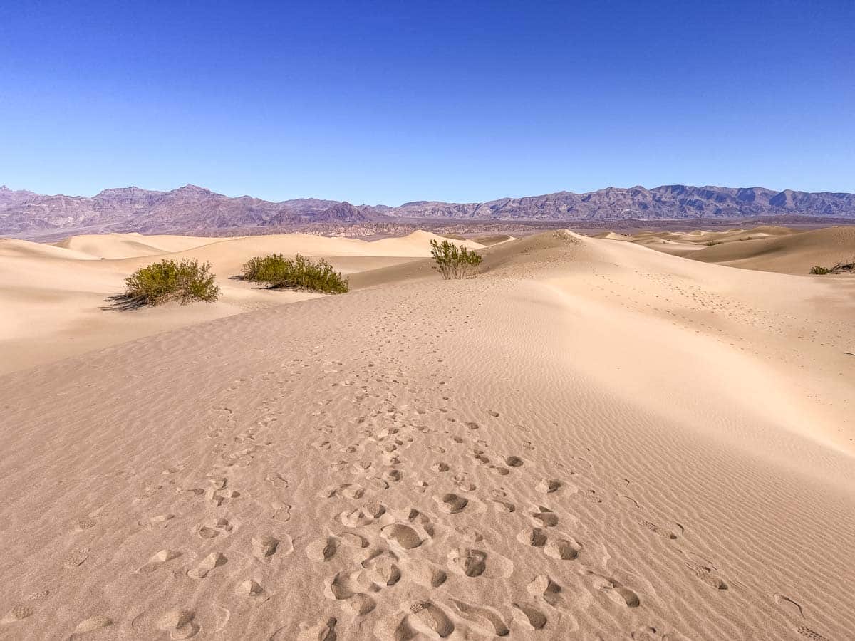 Sand Dunes Meskin National Park of Death Valley