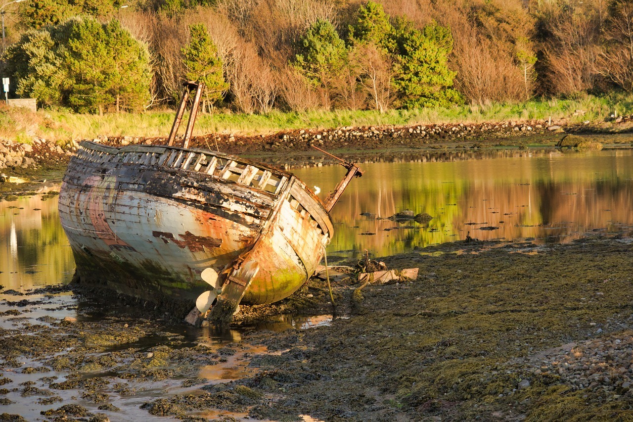 Ein verschwommenes Boot auf einem Fluss mit üppigen Kräutern im Hintergrund.