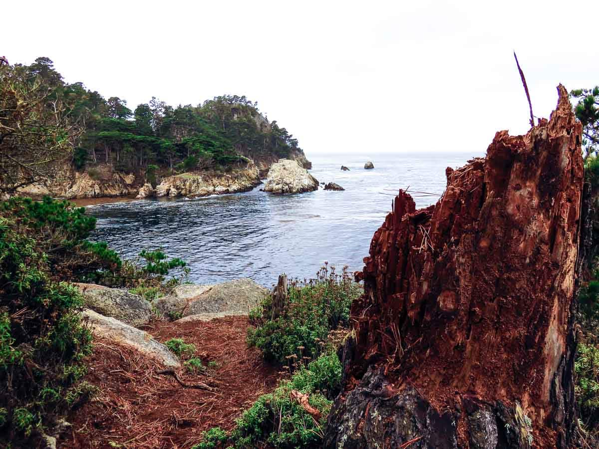 Naturschutzgebiet Point Lobos State