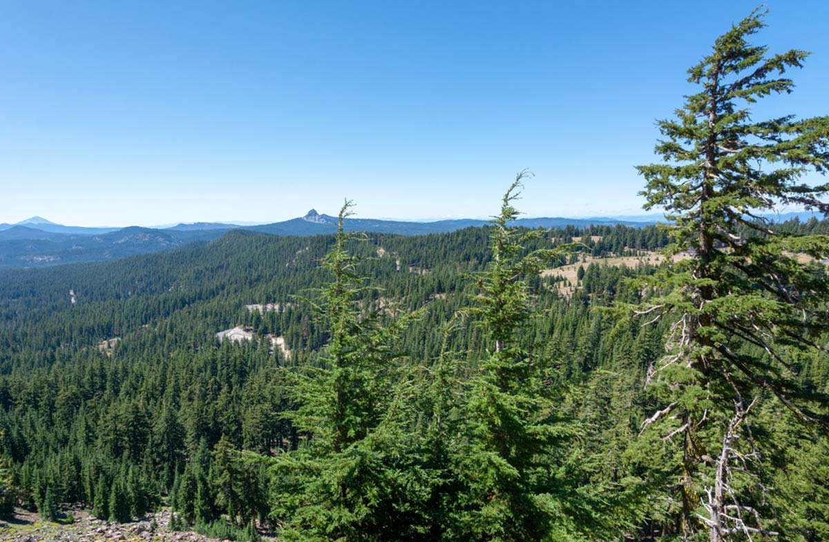 Bewertung des Redwood Streams