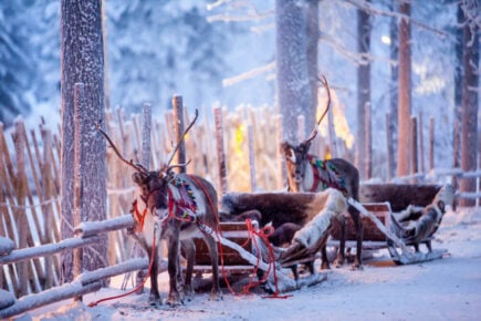 Das Dorf Santa Claus Rovaniemi