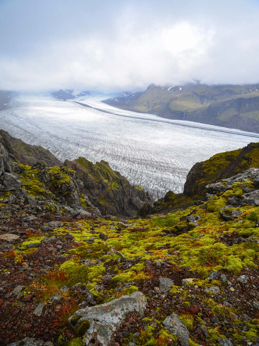Weg zum Skaftafellsjökull-Gletscher