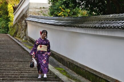 South Khigasiam - ein Ort, an dem es sich lohnt, zum ersten Mal in Kyoto zu bleiben