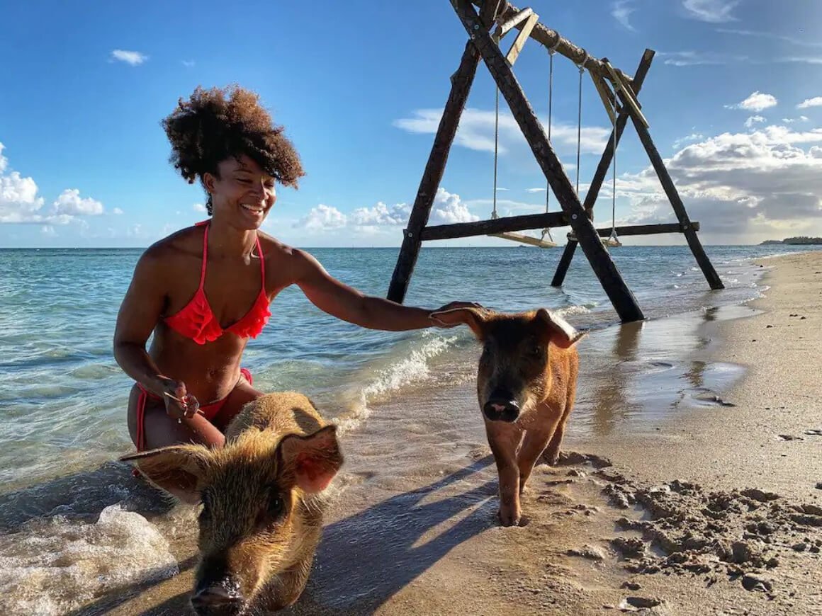 Schwimmen Sie mit Schweinen am Adelaide Beach