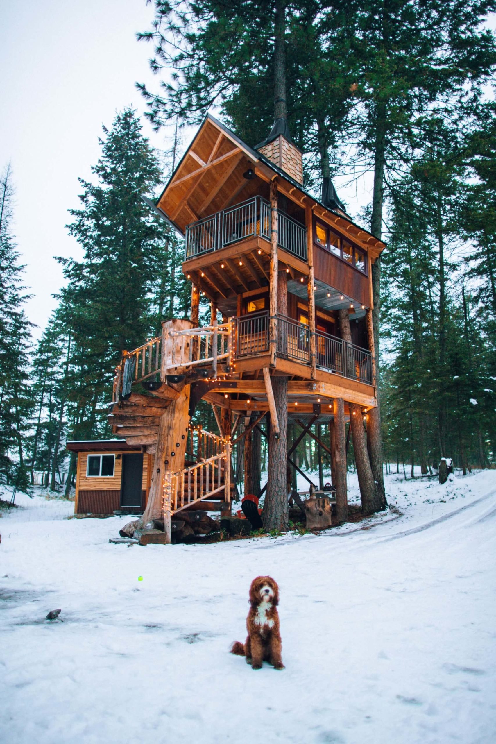 Ein rotbraunes Holzhaus in einem schneebedeckten Wald mit einem rotbraunen Hund in der Mitte des Rahmens