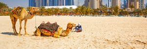 Versteckte Perlen in Dubai