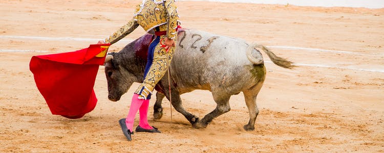 Kämpfe Bulls in Las Ventas