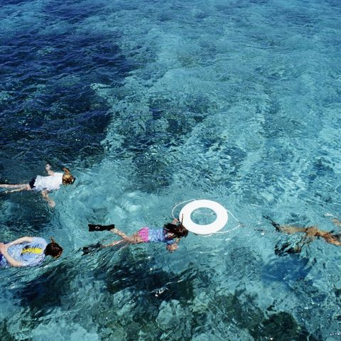 Vier Menschen sind unter Wasser schwimmen, die Insel Santa Cruz, die Jungferninseln