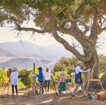 Kohorte lokaler Künstler mit Blick auf die Weinberge des Chardon und des Mount San Rafael weit weg in Kalifornien