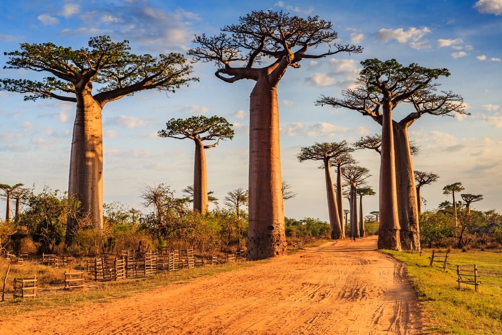 20 beste Sicherheitstipps bei Reisen nach Madagaskar