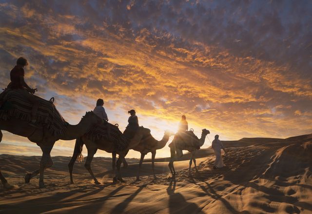 Kame l-Touristen in der Wüste bei Sonnenuntergang